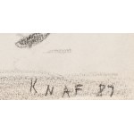 Leszek Knaflewski (1960 Poznań - 2014 Poznań), Untitled, 1987
