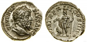 Impero romano, denario, 205, Roma
