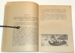 VACANZE - Edizione VOCE 1925