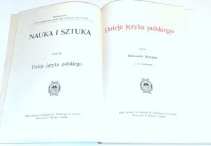 BRUCKNER - DZIEJE JĘZYKA POLSKIEGO stan, futerał