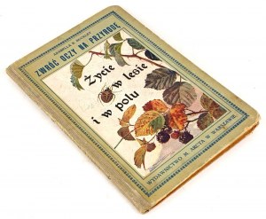 BUCKLEY - LIFE IN THE FOREST IN THE FIELD chromolithographie