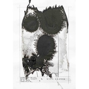 Vladimir Pawlak, Flowers V. V. Gogh (black), 2006