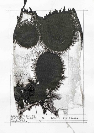 Vladimir Pawlak, Flowers V. V. Gogh (black), 2006