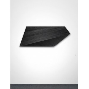 Rafał Bujnowski, z cyklu Lamp Black, 2008