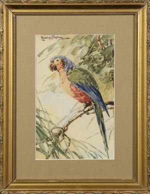 Maurycy TRĘBACZ (1861-1941), Papoušek