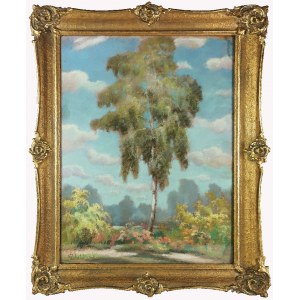 Wacław ŻABOKLICKI (1879-1959), Le bouleau solitaire