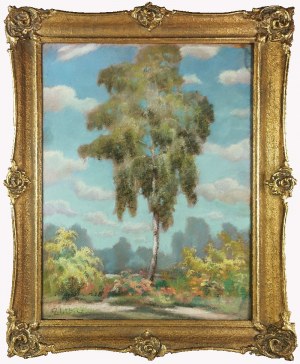 Waclaw ŻABOKLICKI (1879-1959), The Lonely Birch Tree