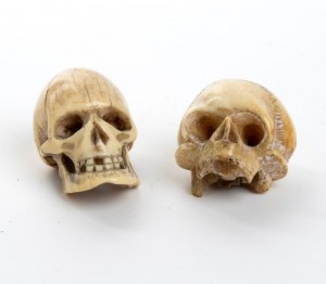 Dwie morskie czaszki z kości słoniowej