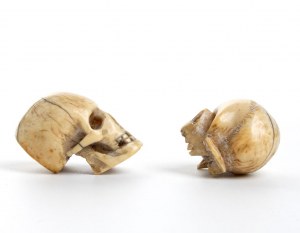 Zwei Schädel aus marinem Elfenbein