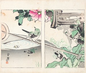 Watanabe Seitei (1851-1918), Vogel, Tokio, 1892