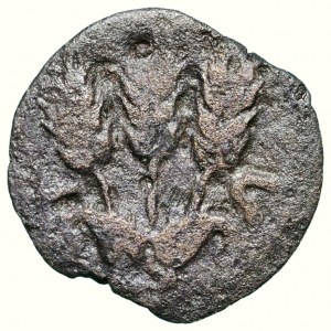 Herod Agrippa I. 37-43, AE prutah
