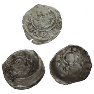 Karel IV., parvus lev/sv. Václav