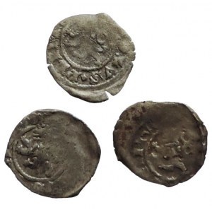 Karel IV., parvus lev/sv. Václav
