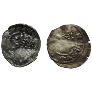 Karel IV., parvus lev/sv. Václav