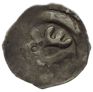 Rudolf III. 1298-1306, fenik CNA B 204 Wiener Neustadt