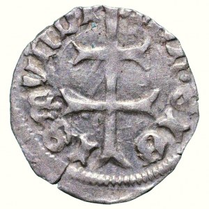 Zygmunt Luksemburski 1387-1437, denar Huszár 576