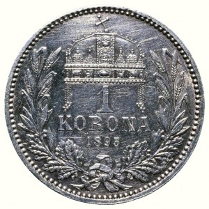 FJI 1848-1916, 1 kor. 1895 KB