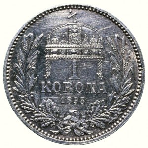 FJI 1848-1916, 1 cor. 1895 KB