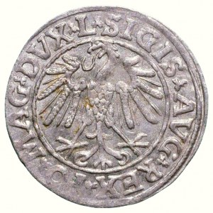 Litva, Zikmund II. August, 1544 - 1572, 1/2 groš 1547
