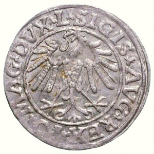 Litva, Žigmund II. August, 1544 - 1572, 1/2 groša 1547