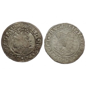 West Prussia, Sigismund I the Old 1506-1548, groschen 1531 Torun