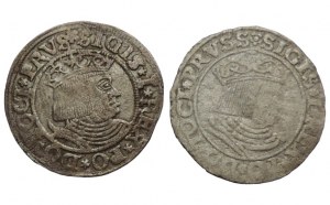 Prusse occidentale, Sigismond Ier le Vieux 1506-1548, groschen 1531 Torun