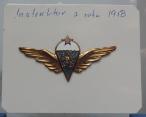 Parachuting instructor badge from 1958