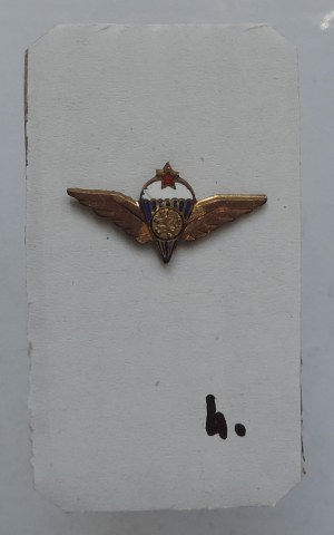Miniature of the parachuting instructor badge from 1958