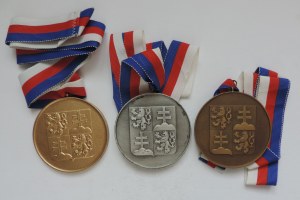 Sada medailí pro sportovce se závěsní stuhou k 9. mistrovství světa para v disciplíně RW