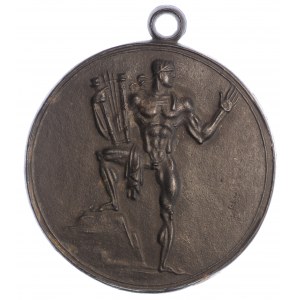 Poland, Wroclaw, Medal on the occasion of the 12th Congress of the German Singers' League in 1937 and the celebration of the 75th anniversary of the League in Wroclaw