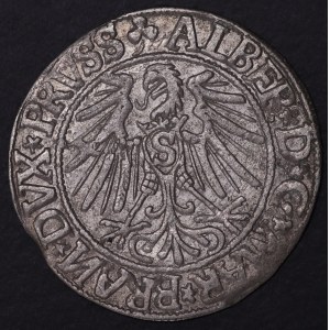 Prusse, Albrecht Hohenzollern, sou 1544, Königsberg