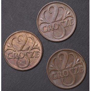 Polska, II RP, 2 grosze - zestaw 3 sztuk