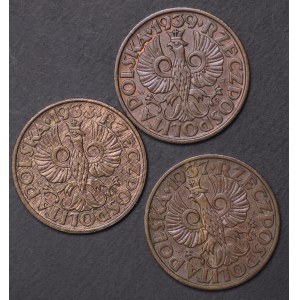 Polska, II RP, 2 grosze - zestaw 3 sztuk