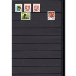 Klaser - set of 6