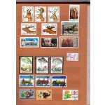 Klaser - set of 8