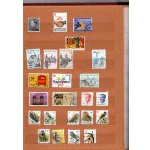 Klaser - set of 8