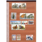 Klaser - set of 8