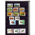 Klaser - set of 12
