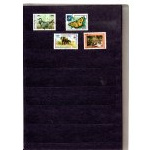 Klaser - set of 12