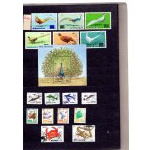 Klaser - set of 12