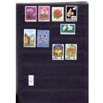 Klaser - set of 12