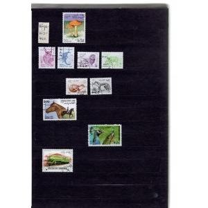 Klaser - set of 12