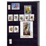 Klaser - set of 12