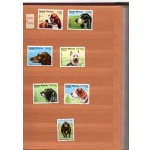 Klaser - set of 13