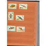 Klaser - set of 13