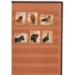 Klaser - set of 13