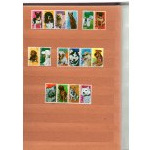 Klaser - set of 13