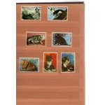 Klaser - set of 13