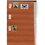 Klaser - set of 13