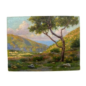 ANONIMO, Landscape on the Gulf
